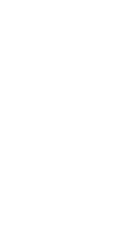 フラワー背景画像