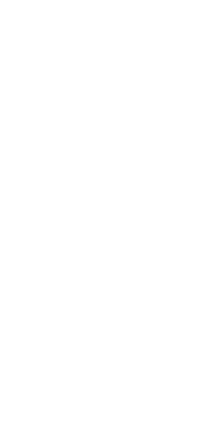 フラワー背景画像